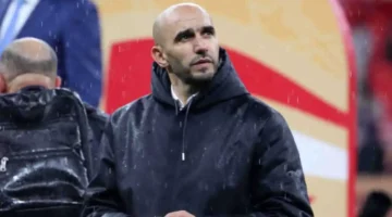 هجوم وليد الركراكي.. تصريحات نارية ضد مدرب السنغال تثير الجدل في إفريقيا